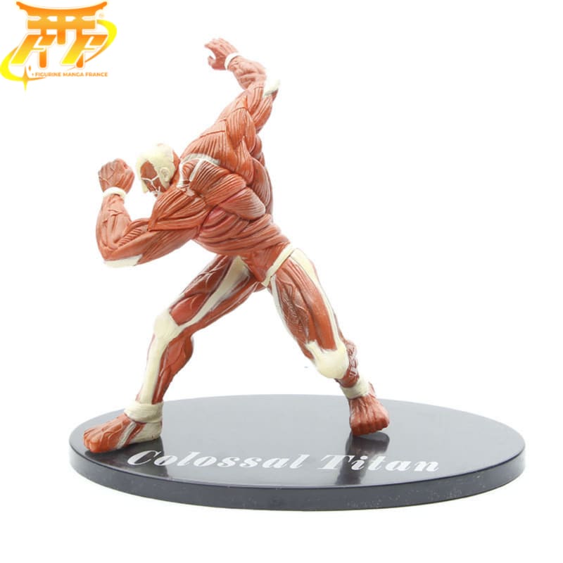 Figura del Titan Colosal - Attack on Titan™