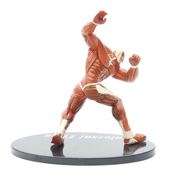 Figura del Titan Colosal - Attack on Titan™