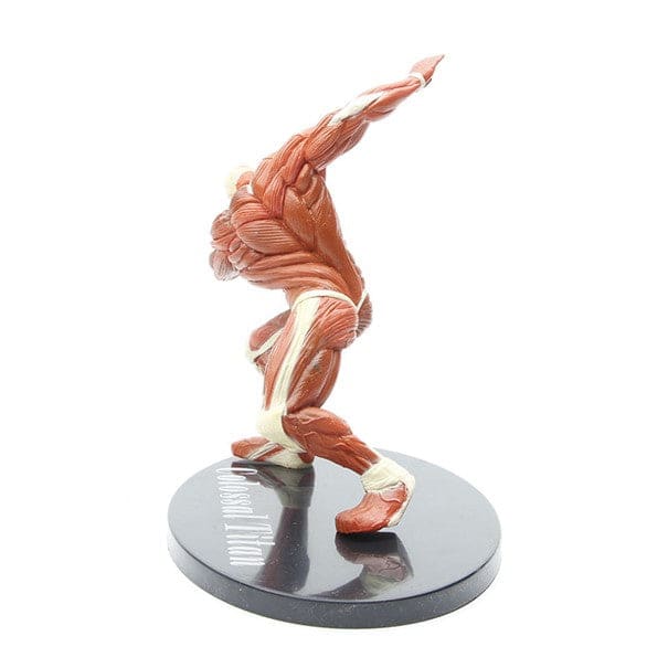 Figura del Titan Colosal - Attack on Titan™