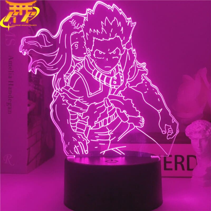 Lampara LED Deku y Eri - My Hero Academia™