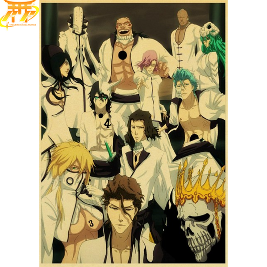 Poster Espada - Bleach™