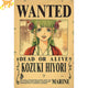 Poster Wanted Hiyori - One Piece™
