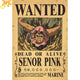 Poster Wanted Senor Pink - One Piece™